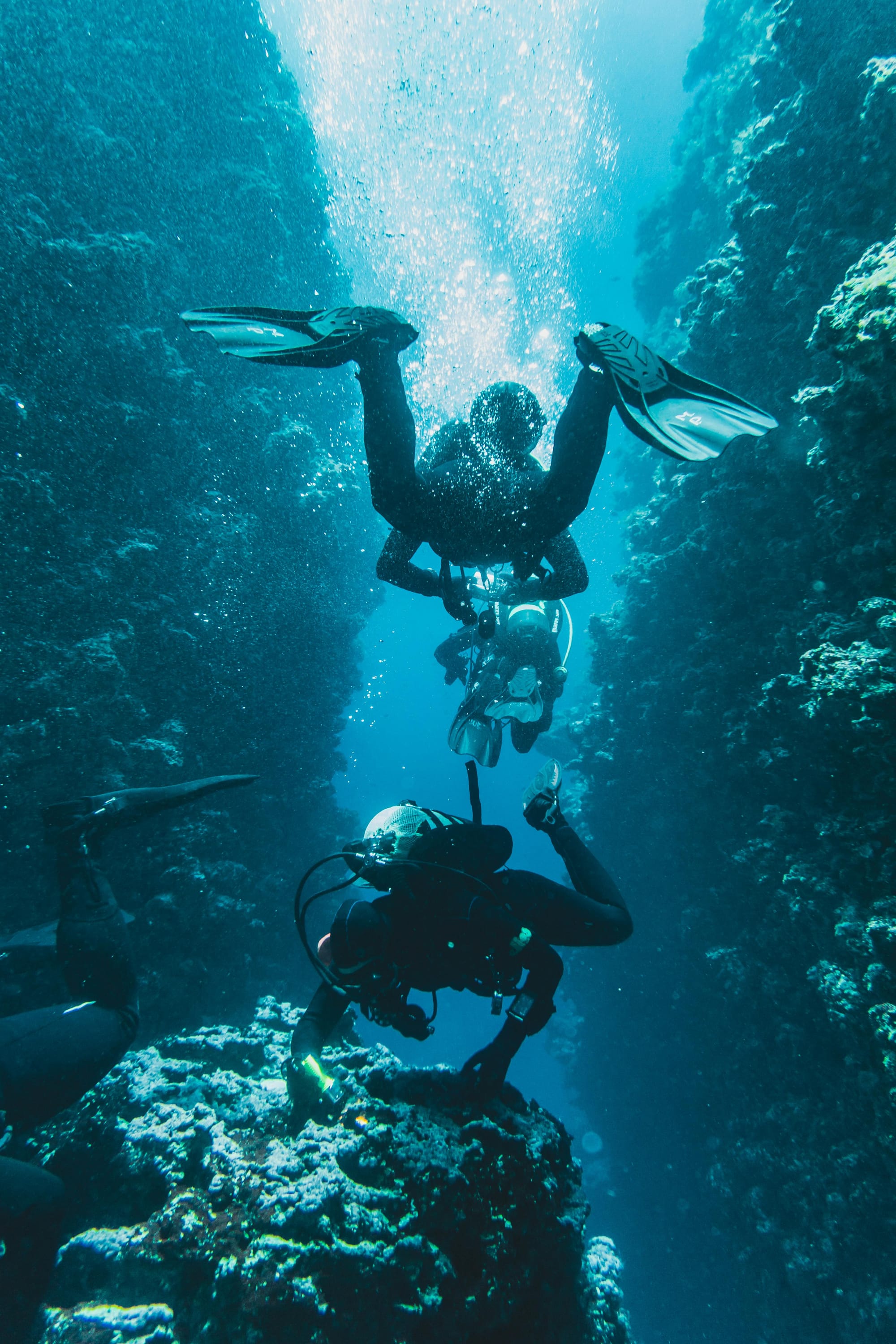 Top Scuba Diving Destinations in India for Summer Adventure