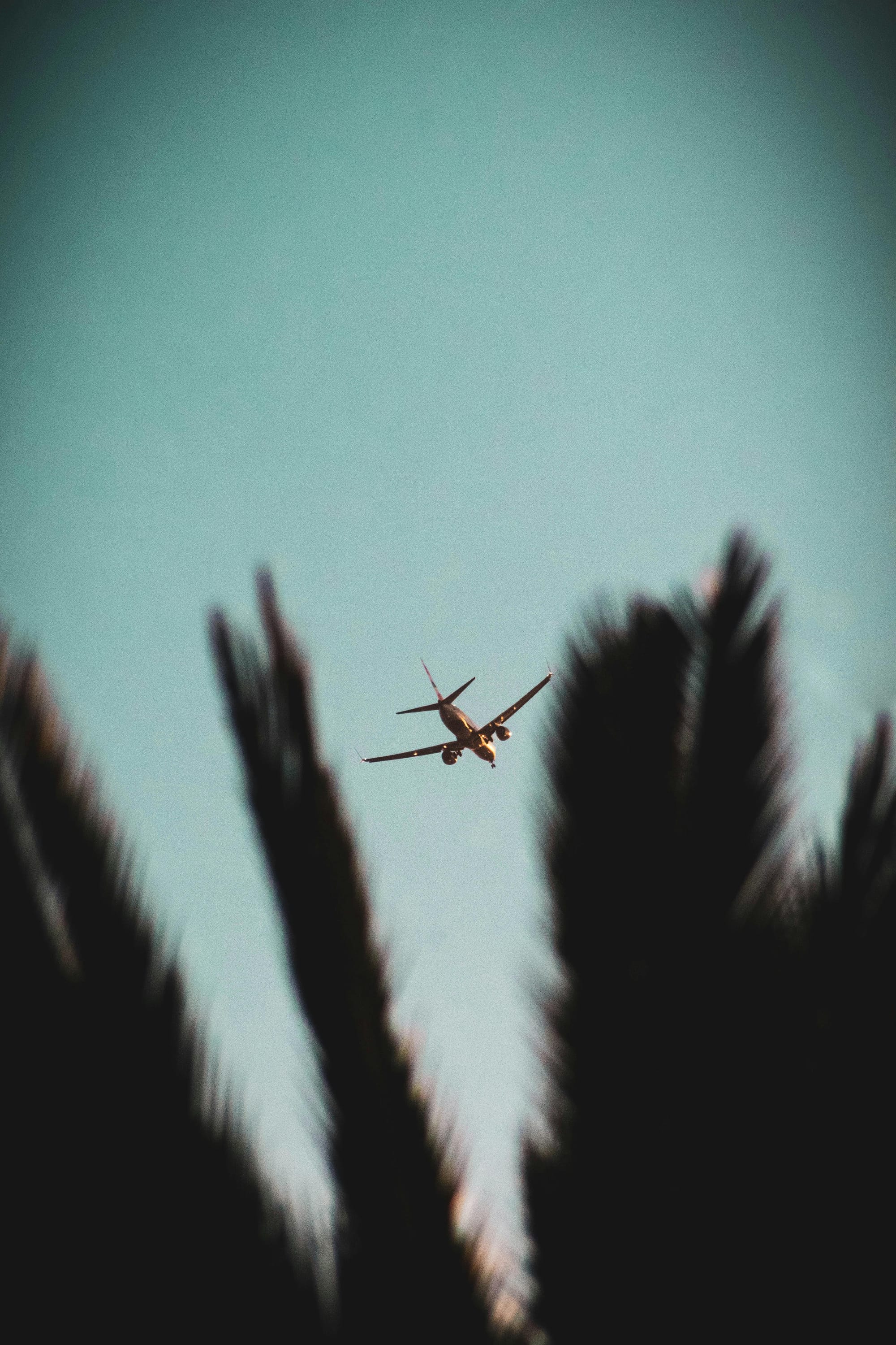 Top Airline Stocks to Watch in April